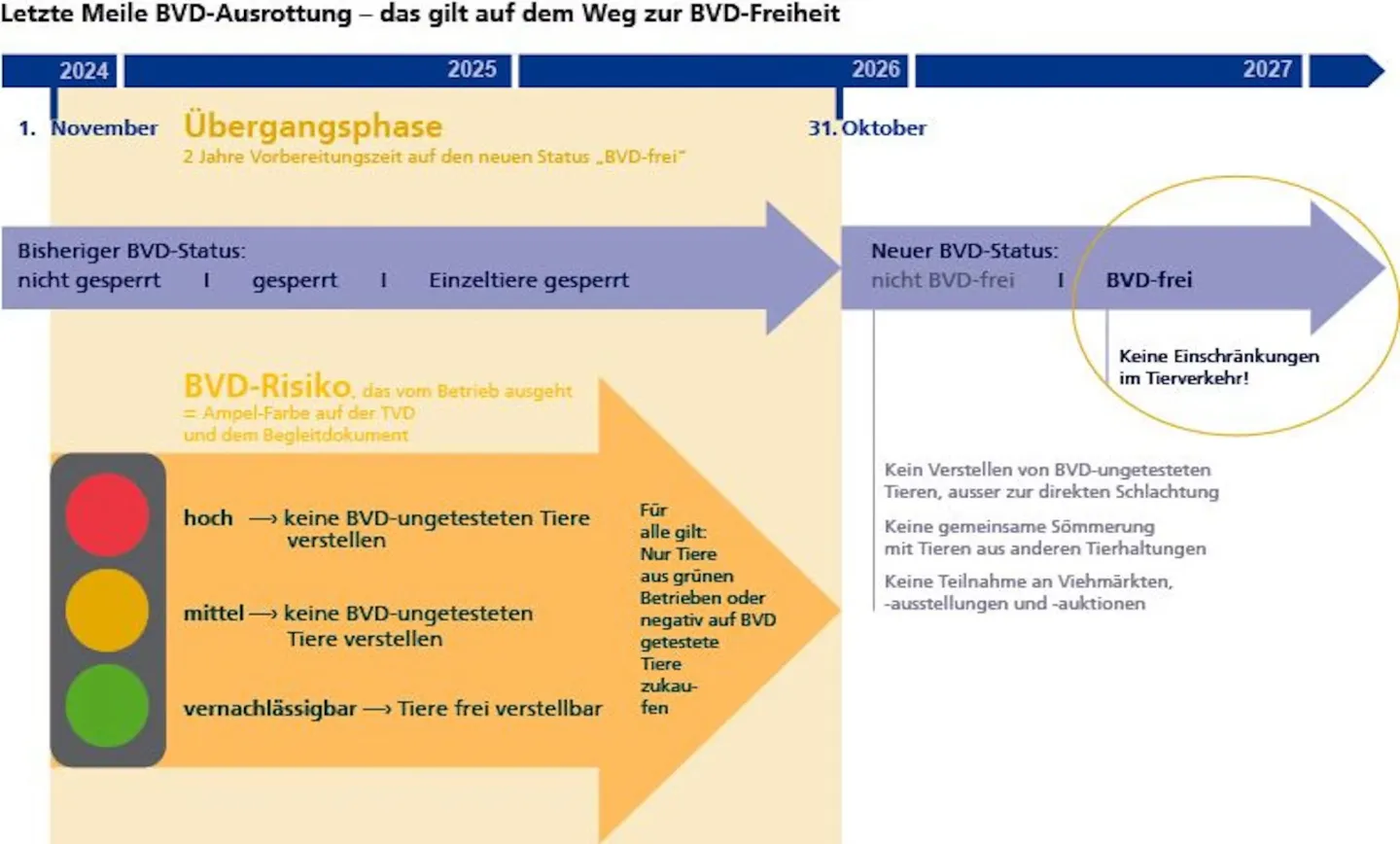 Letzte Meile der BVD-Ausrottung: neuer BVD-Status