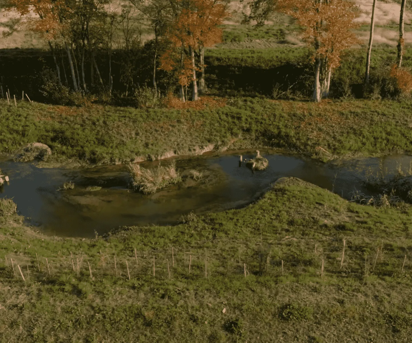 Revitalisation de la Petite Glâne