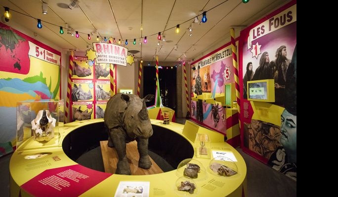 Exposition Rhinostar