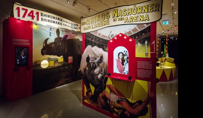 Exposition Rhinostar au Musée d'histoire naturelle Fribourg