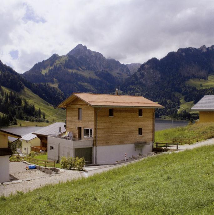 Yves André, Paysages occupés (2007), Schwarzsee