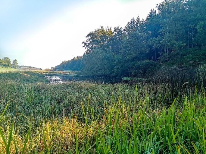 La Goille, in der Nähe von Montagny-la-Ville.