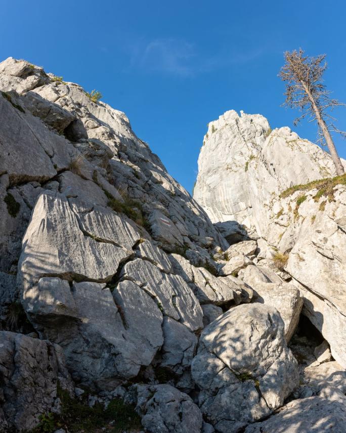 Calcaire karstifié à proximité de l’Oberbergpass dans les Gastlosen (GIC n°12)