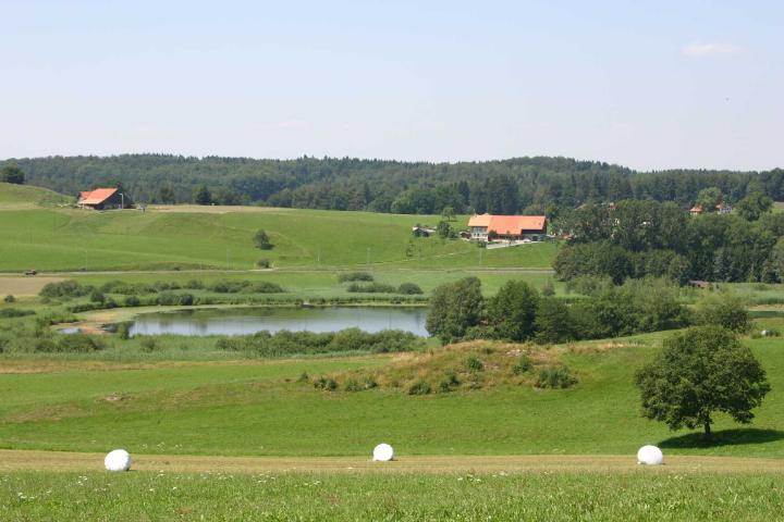 Site marécageux Lac de Lussy