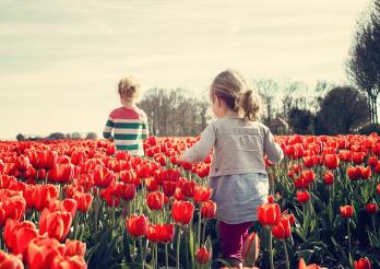 Enfants dans un champ de fleurs