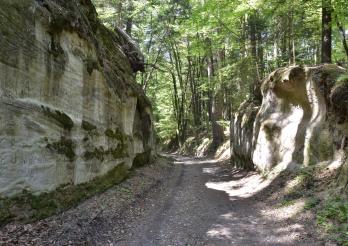 Montagny-les-Monts, Hohlweg nationaler Bedeutung des Bois de la Bruyère, im Sandstein ausgehöhlte Passage. 