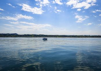 Cyanobactéries : baignade autorisée dans le lac de Neuchâtel / Cyanobakterien: Das Baden im Neuenburgersee ist erlaubt