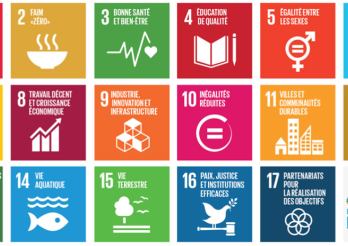 Nachhaltige Entwicklung beim Staat Freiburg