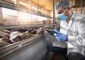 La Stratégie Santé animale Suisse 2022+ a été élaborée par l’OSAV en collaboration avec les vétérinaires cantonaux.