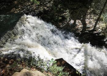 Une rivière avec une cascade