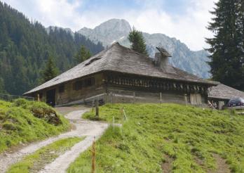 Alphütte im Greyerzerland mit aufgehängten Kuhglocken unter dem Schindeldach 
