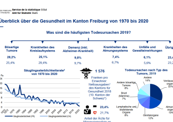 Überblick über die Gesundheit im Kanton Freiburg von 1970 bis 2020