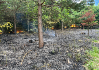 Incendie de forêt à Cousset / Waldbrand in Cousset