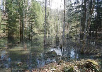 Neuer Teich von Bouleyres, eine Massnahme des kantonalen Klimaplans