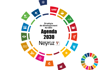 Agenda 2030 - Commune de Neyruz