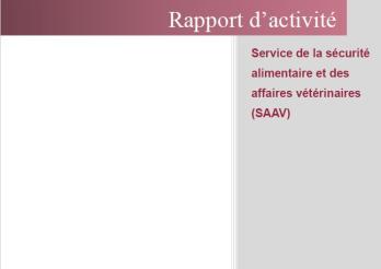 Page de garde du Rapport d'activité 2022/SAAV