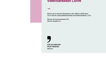 Tätigkeitsbericht 2022 LSVW