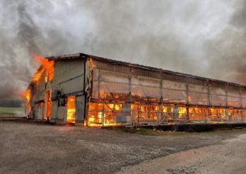 Incendie d'un bâtiment agricole à Cournillens
