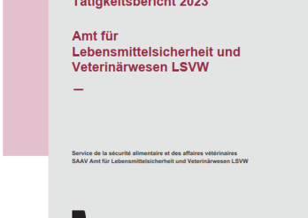 Tätigkeitsbericht 2023 des LSVW