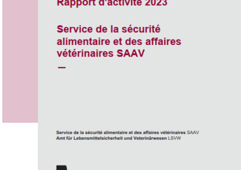 Rapport d'activité SAAV 2023