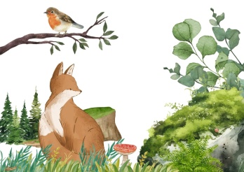 Naturgeschichten am Mittwoch