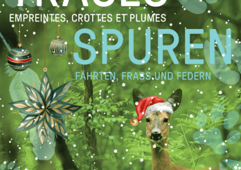 Spurenlesen leicht gemacht