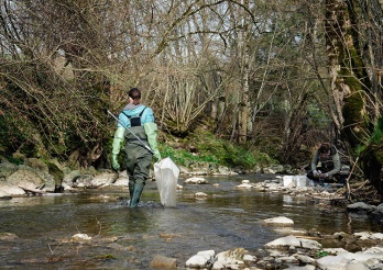 Monitoring de la Haute Broye 2025