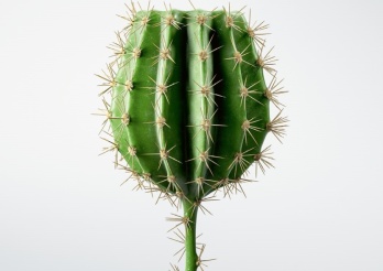 Au volant, pas touche à l’alcool