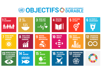 Agenda 2030 : Les 17 objectifs de développement durable