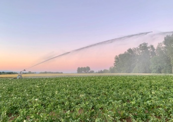 Irrigation