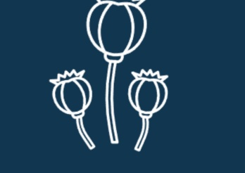 Sucht Schweiz, Opioide