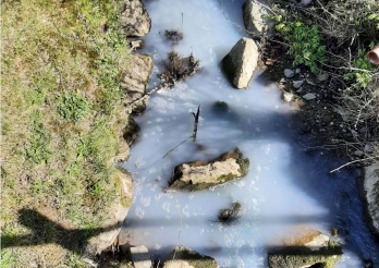 Pollution d'un ruisseau à Villariaz