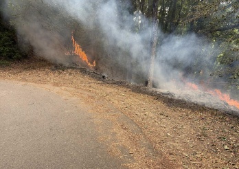 Départ de feu en forêt à Cheyres