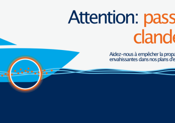 Obligation de déclaration et de nettoyage des bateaux
