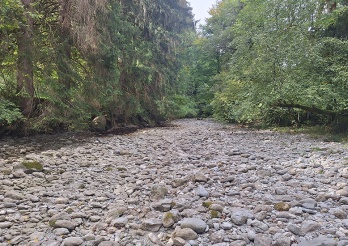 L’Hongrin à sec durant l’été 2026, comme plusieurs cours d’eau du canton