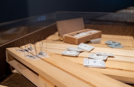 Exposition Papillons de nuit - #2 Biodiversité Fribourg