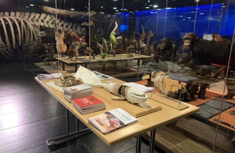 Journées européennes du patrimoine 2021 au MHNF