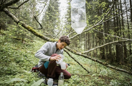 Gilles Hauser sammelt die Insekten aus einer Falle ein.