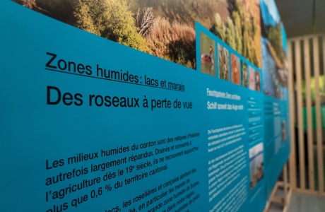 Les oiseaux et leurs milieux - #5 Biodiversité Fribourg