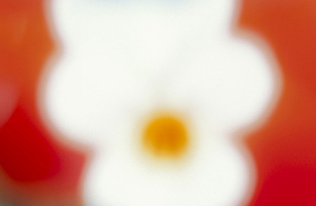 Das Vibrieren der Tage