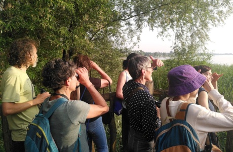 Entdeckungen in der Natur ...