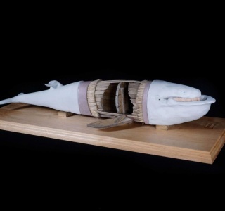 Tierpräparate: Seiwal 2021