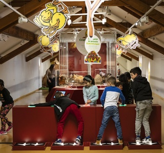 L'expo Poussins - Claude Ponti