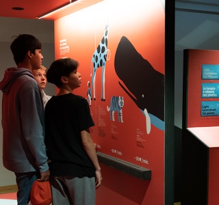 Vue de l'exposition "tic tac - le compte à rebours de la vie"