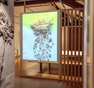 Blick in die Ausstellung