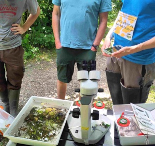 ... in Begleitung von Fachleuten.