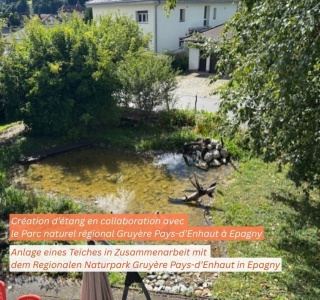 Massnahmen, die der Biodiversität im Siedlungsraum helfen