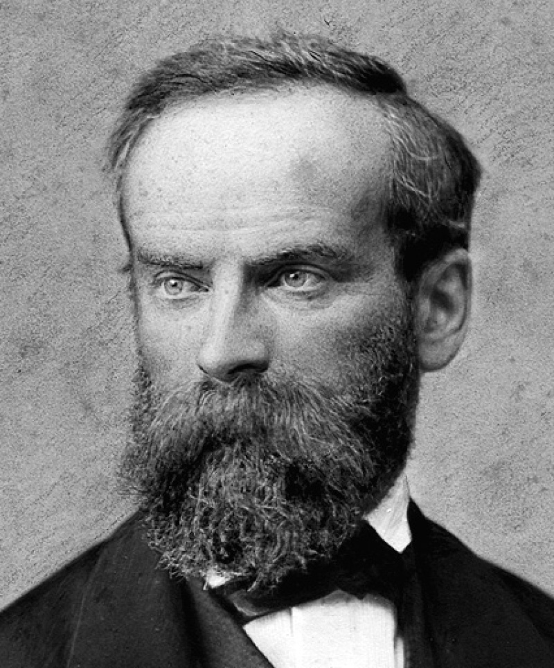 Philippe Fournier (1818–1886), Conseiller d'Etat/Staatsrat