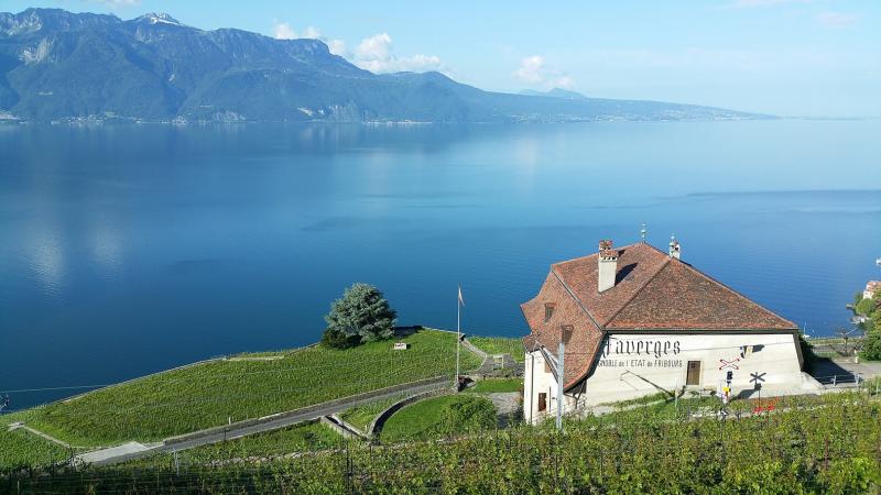  45/5000 Das Grande Maison des Faverges und der Genfer See