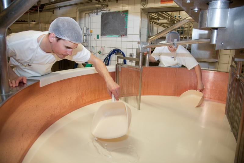 Photo montrant la production de fromage